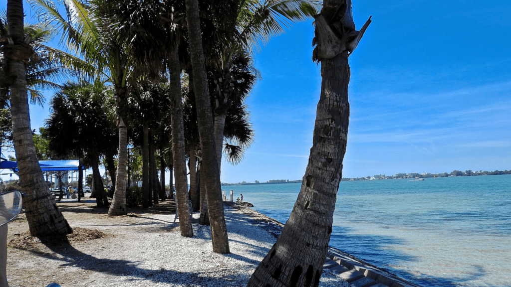 5 can't miss adventures in Sarasota