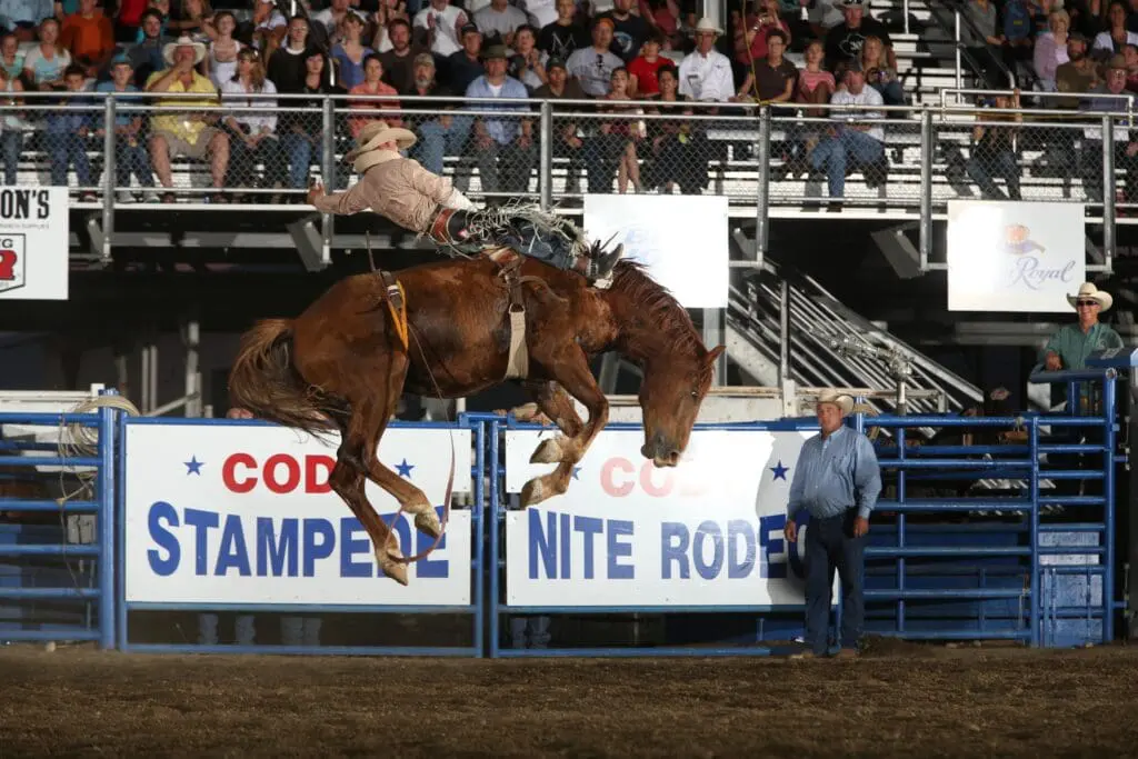 Cody Nite Rodeo