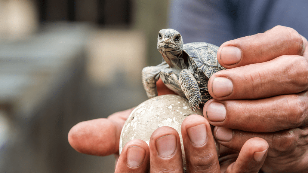 best destinations for group trips in 2024 Galapagos