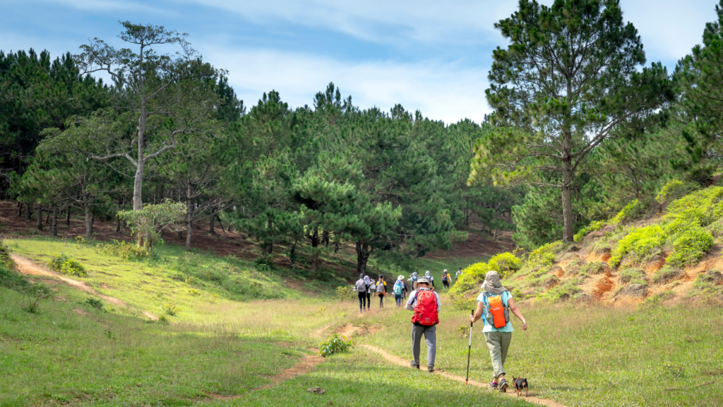 national park trips