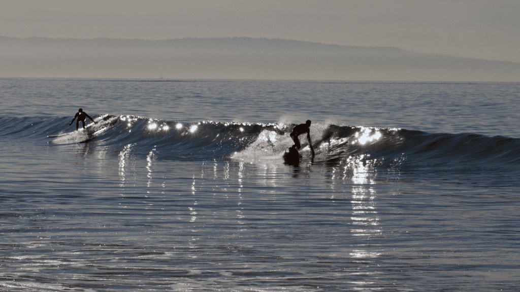 Santa Monica Surfing