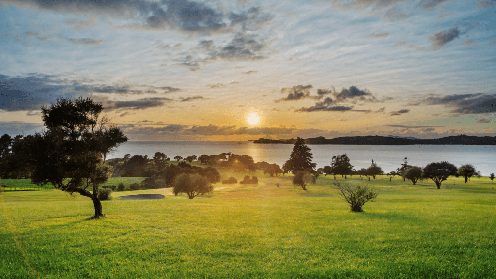 New Zealand Sunrise